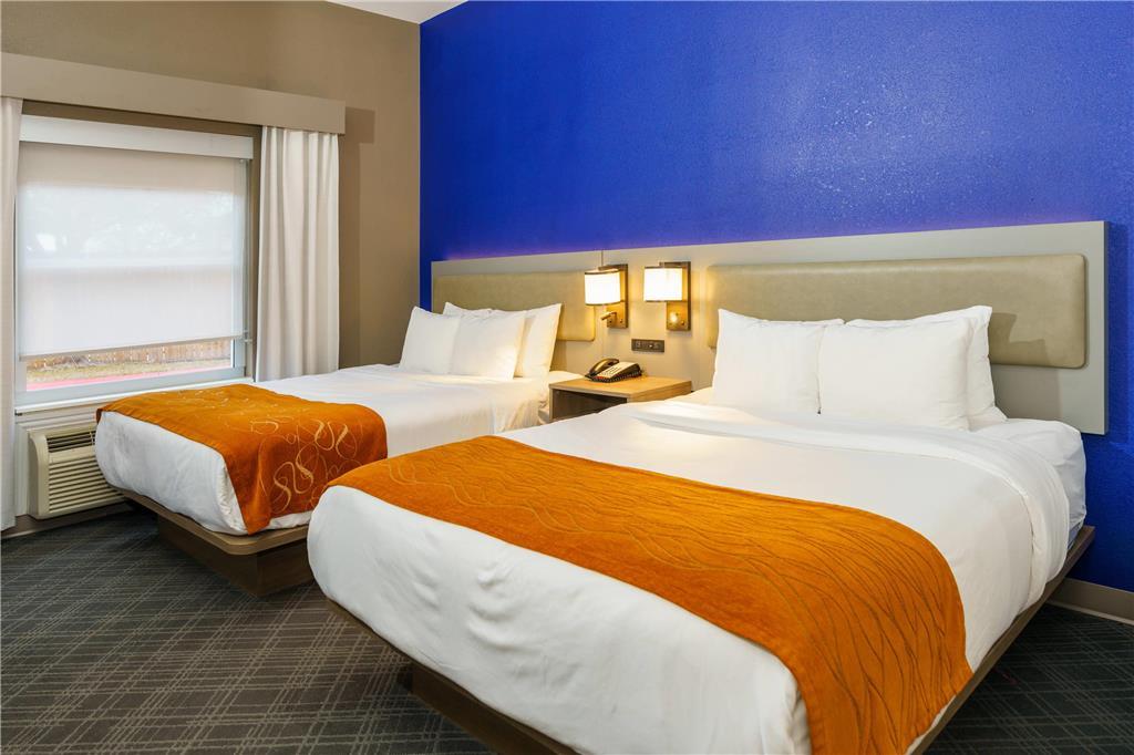 Comfort Suites University Drive College Station Quarto foto
